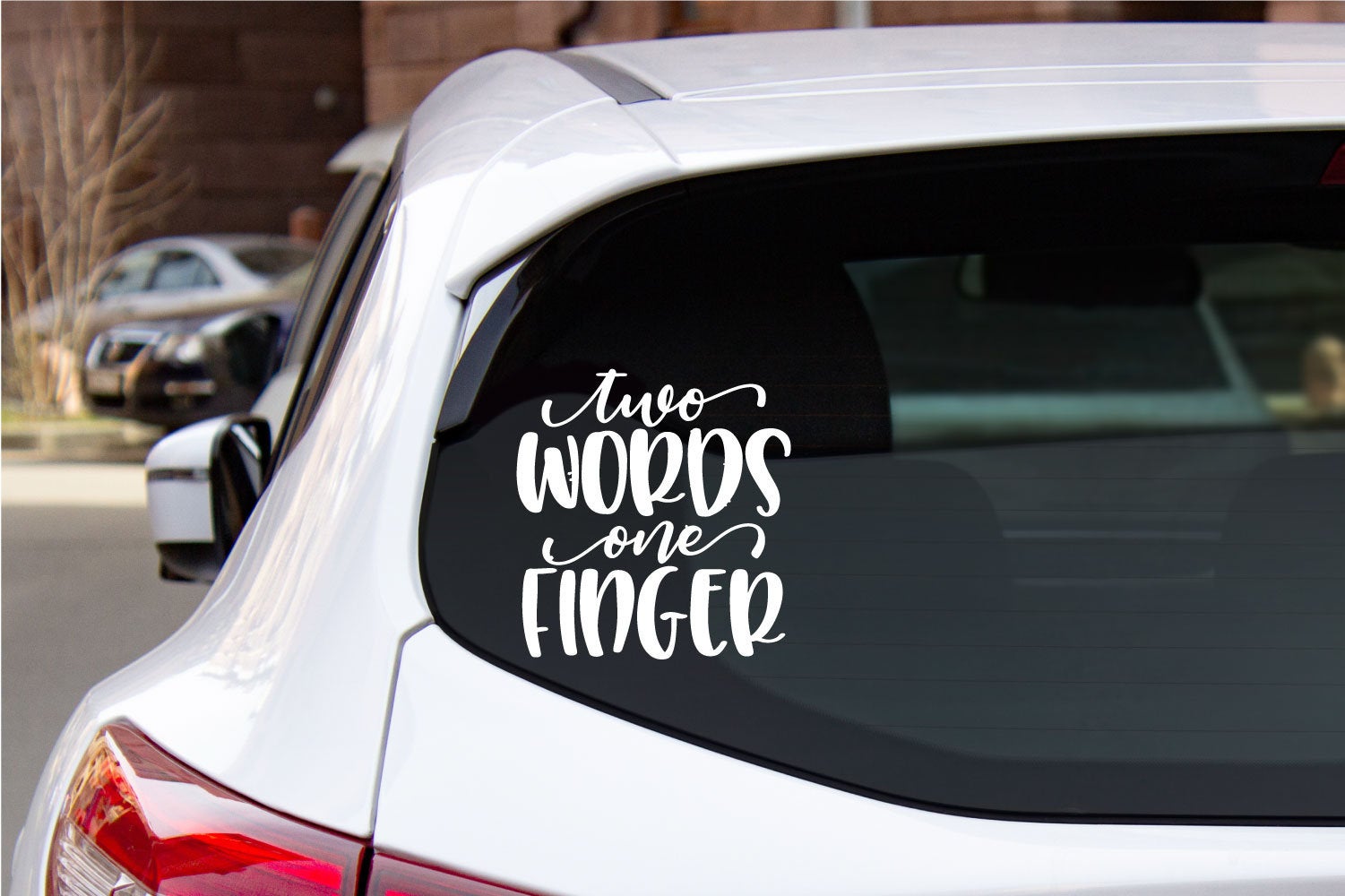 Two Words One Finger Vinyl Car Wall Decal Words 