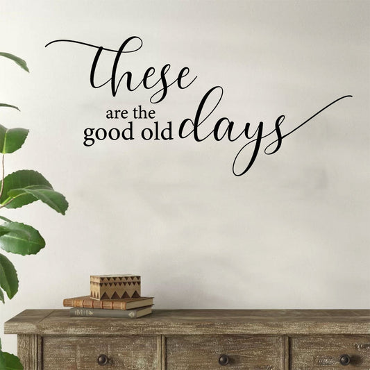 These Are The Good Old Days Vinyl Home Decor Wall Decal Words 